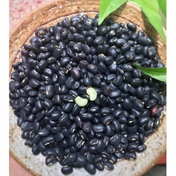 ĐẬU ĐEN XANH LÒNG 500G