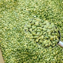 Nhân Hạt bí Xanh