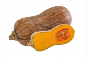 Bí Đỏ Hồ Lô